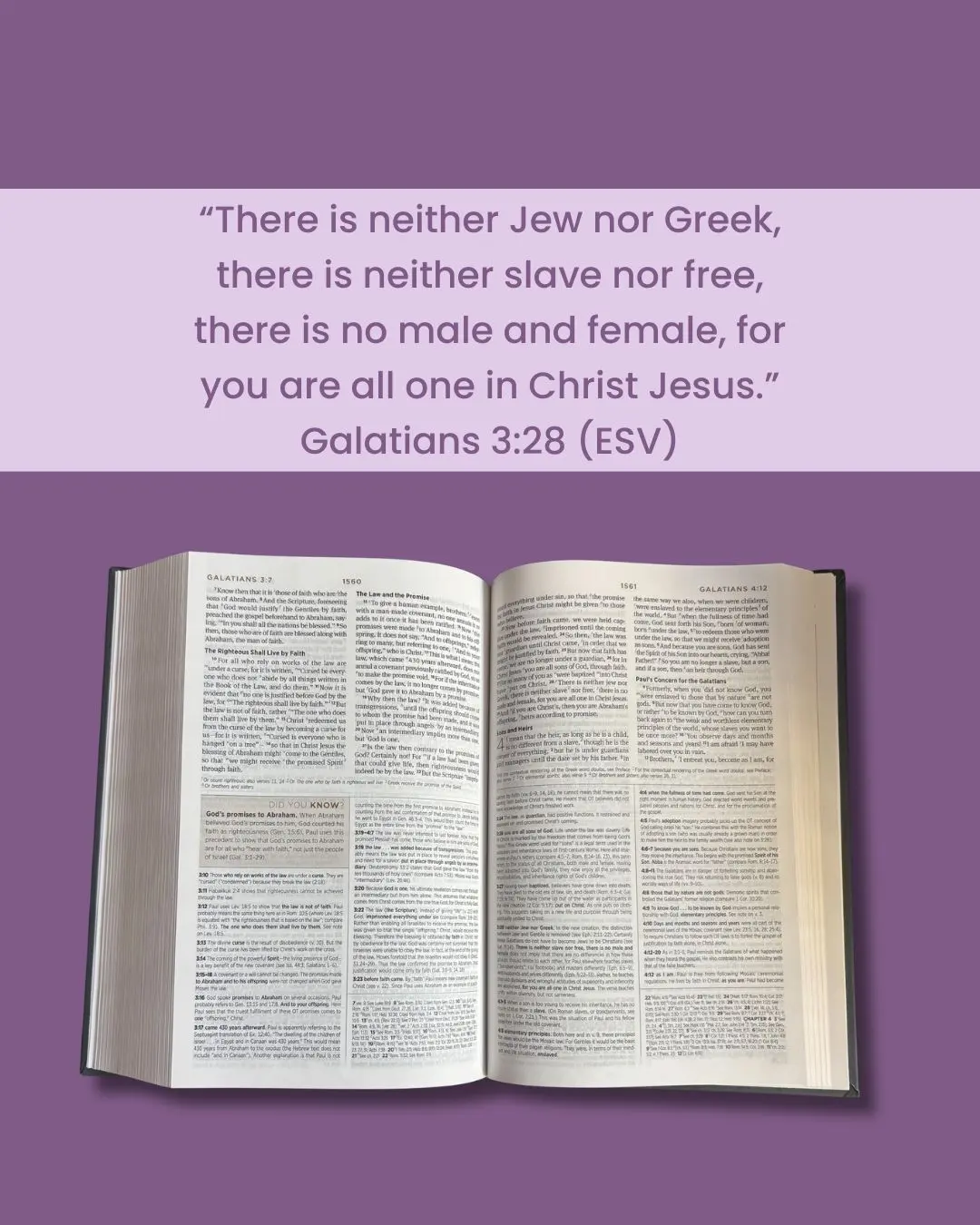 “There is neither Jew nor Greek, there is neither slave nor free, there is no male and female, for you are all one in Christ Jesus.”
Galatians 3:28 (ESV)