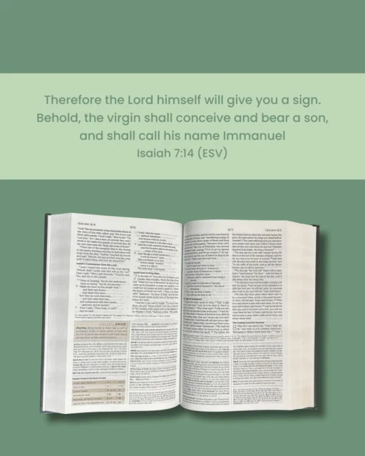 Merry Christmas week! Our scripture for today comes from Isaiah: Therefore the Lord himself will give you a sign. Behold, the virgin shall conceive and bear a son, and shall call his name Immanuel.

Isaiah 7:14 (ESV)