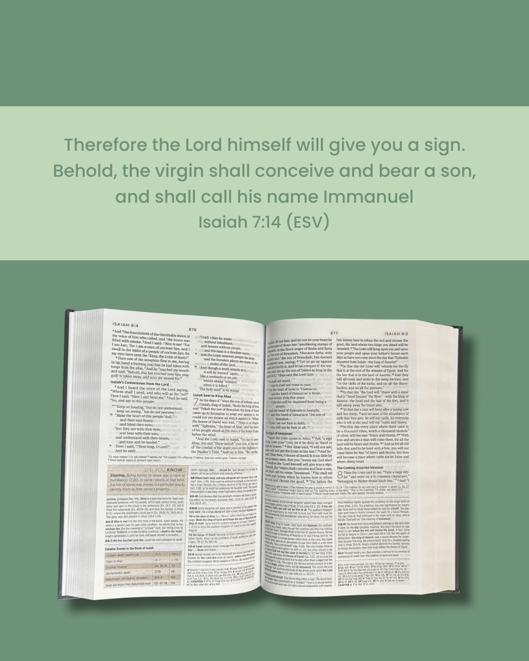 Merry Christmas week! Our scripture for today comes from Isaiah: Therefore the Lord himself will give you a sign. Behold, the virgin shall conceive and bear a son, and shall call his name Immanuel.

Isaiah 7:14 (ESV)