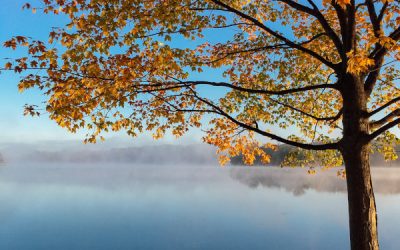 Teach Kids About God Using the Fall Season