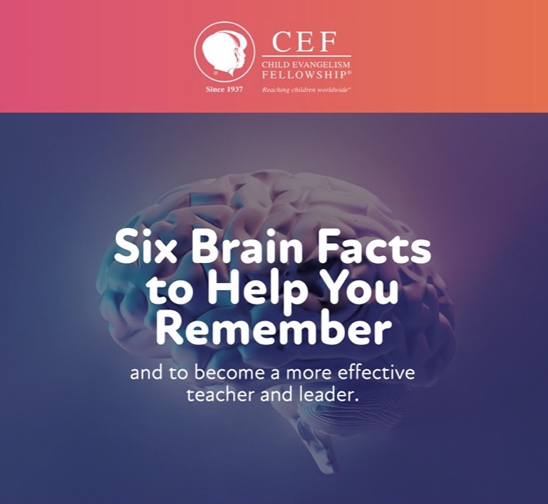Six Brain Facts