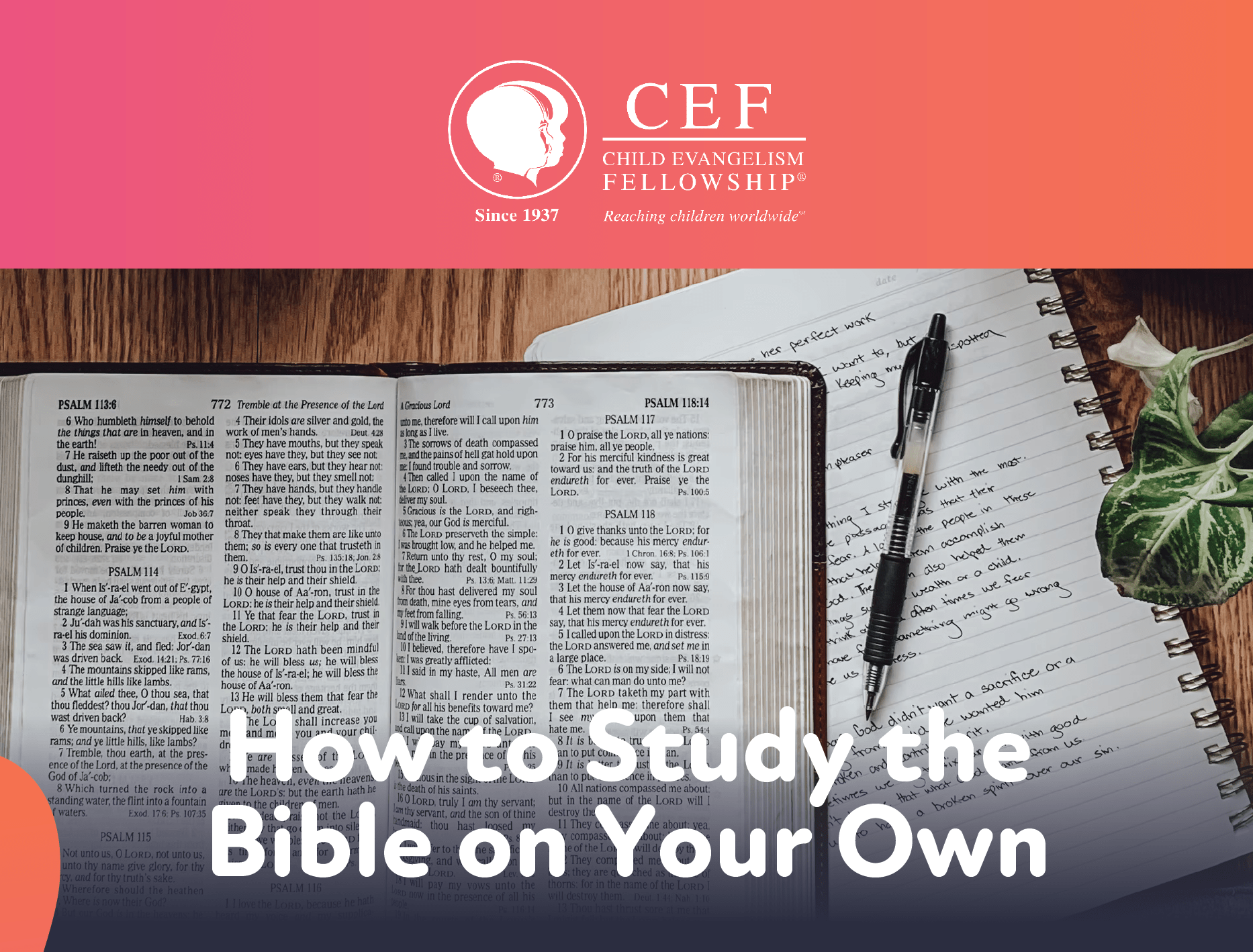 How to Study the Bible on Your Own