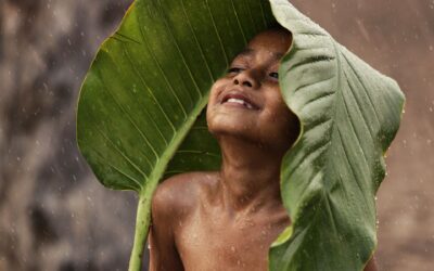 Perseverance and Provision 