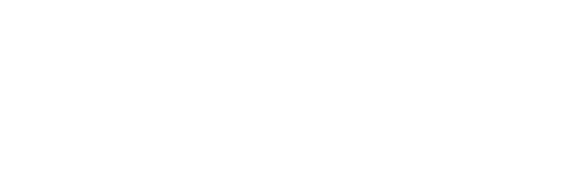 fuel transparent
